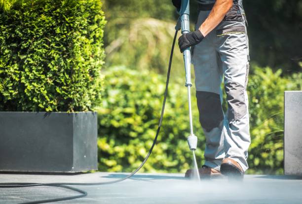 Best Sidewalk and Walkway Cleaning  in Willoughby, OH